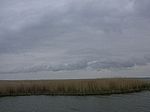 Der Bodden