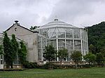 Palmenhaus