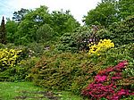 Im Rhododendronpark